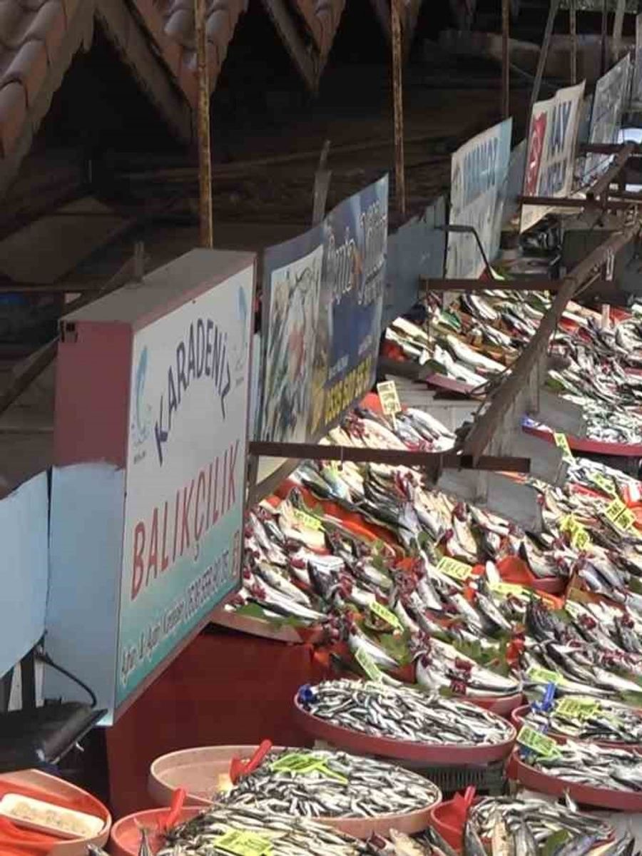 Yalova Balık Hali’nde fiyatlar düşüşe geçti