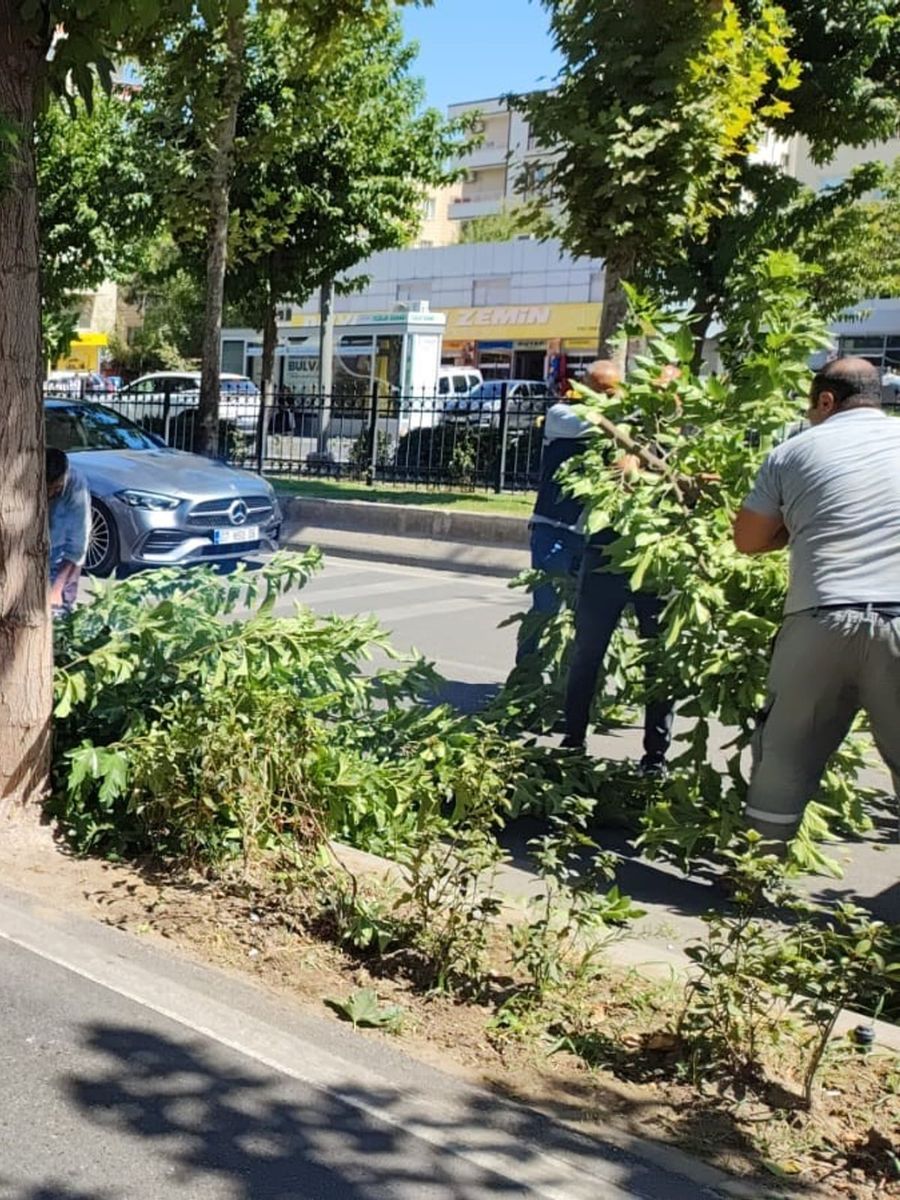 Batman’da kontrolden çıkan otomobil ağaca çarptı: 1 yaralı