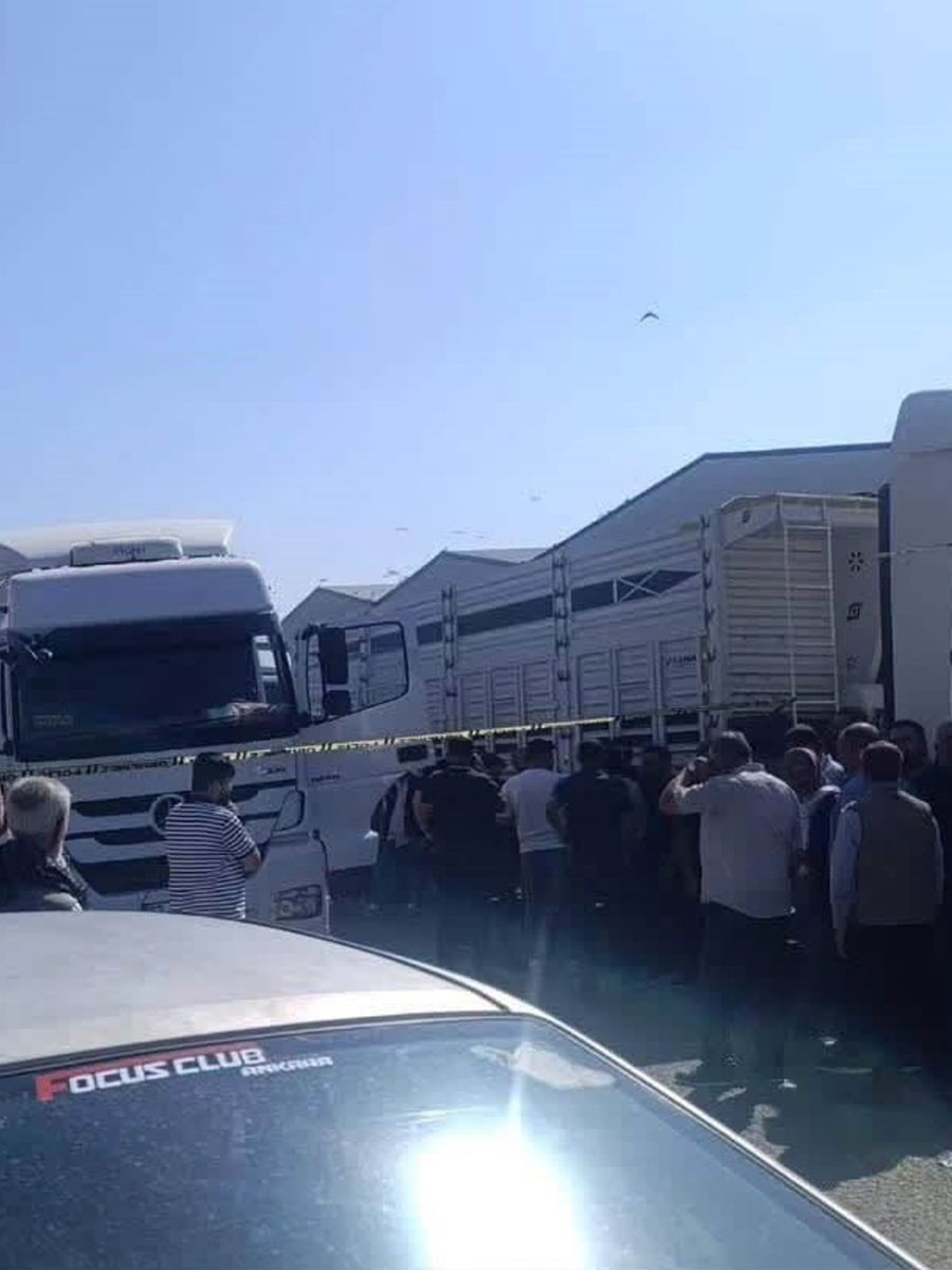 Kamyon şoförü aracında ölü bulundu
