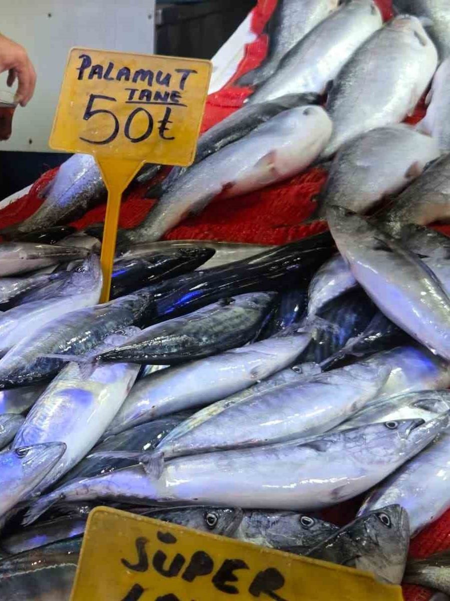 Palamut bedavadan biraz daha pahalı: Tanesi 50 TL