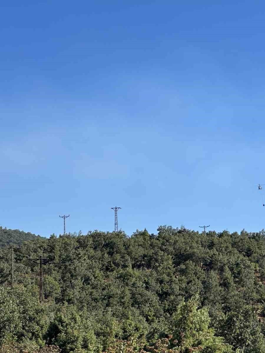 Uşak’ta meşelik alanda çıkan yangın kontrol altına alındı