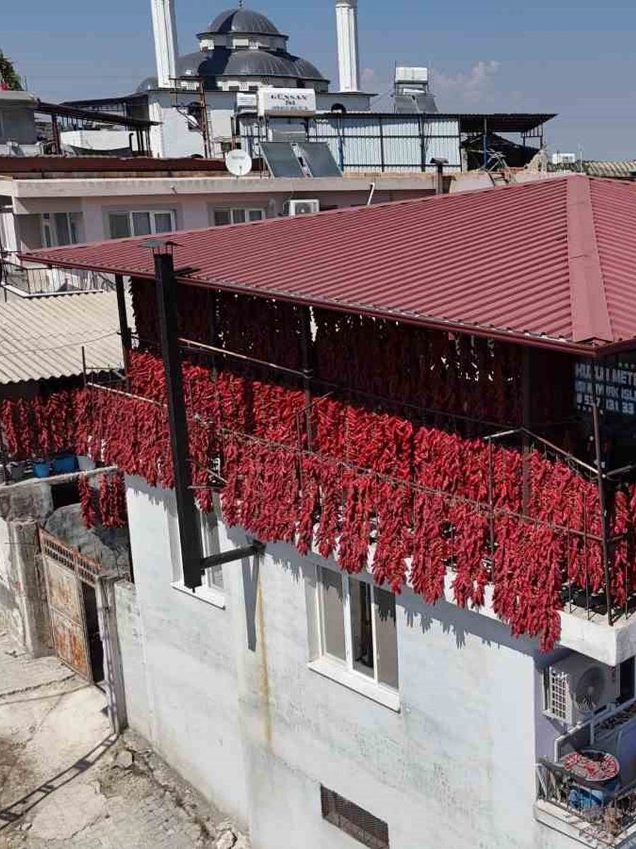 Kavurucu sıcakta tek tek ipe dizilen dolmalık acı biberler, mahalledeki balkonları kırmızıya bürüdü
