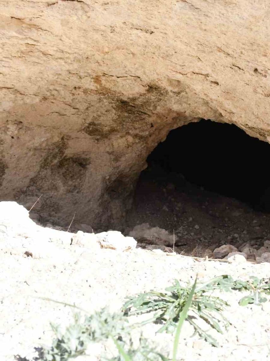 Pekmezin sırrı bu toprakta: Yozgat’tan Antalya’ya, Almanya’ya kadar gidiyor