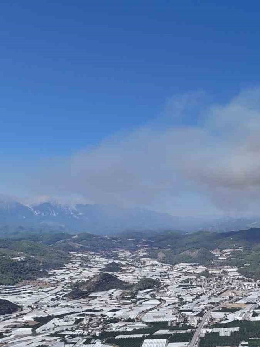 Gözaltına alınan yangın şüphelisi tutuklandı