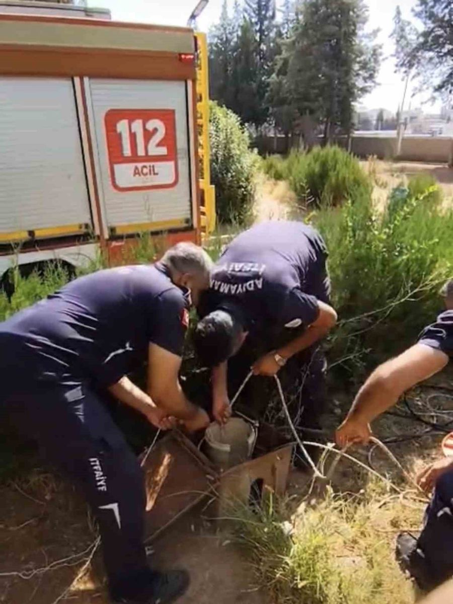 Kuyuya düşen yavru kediyi itfaiye kurtardı