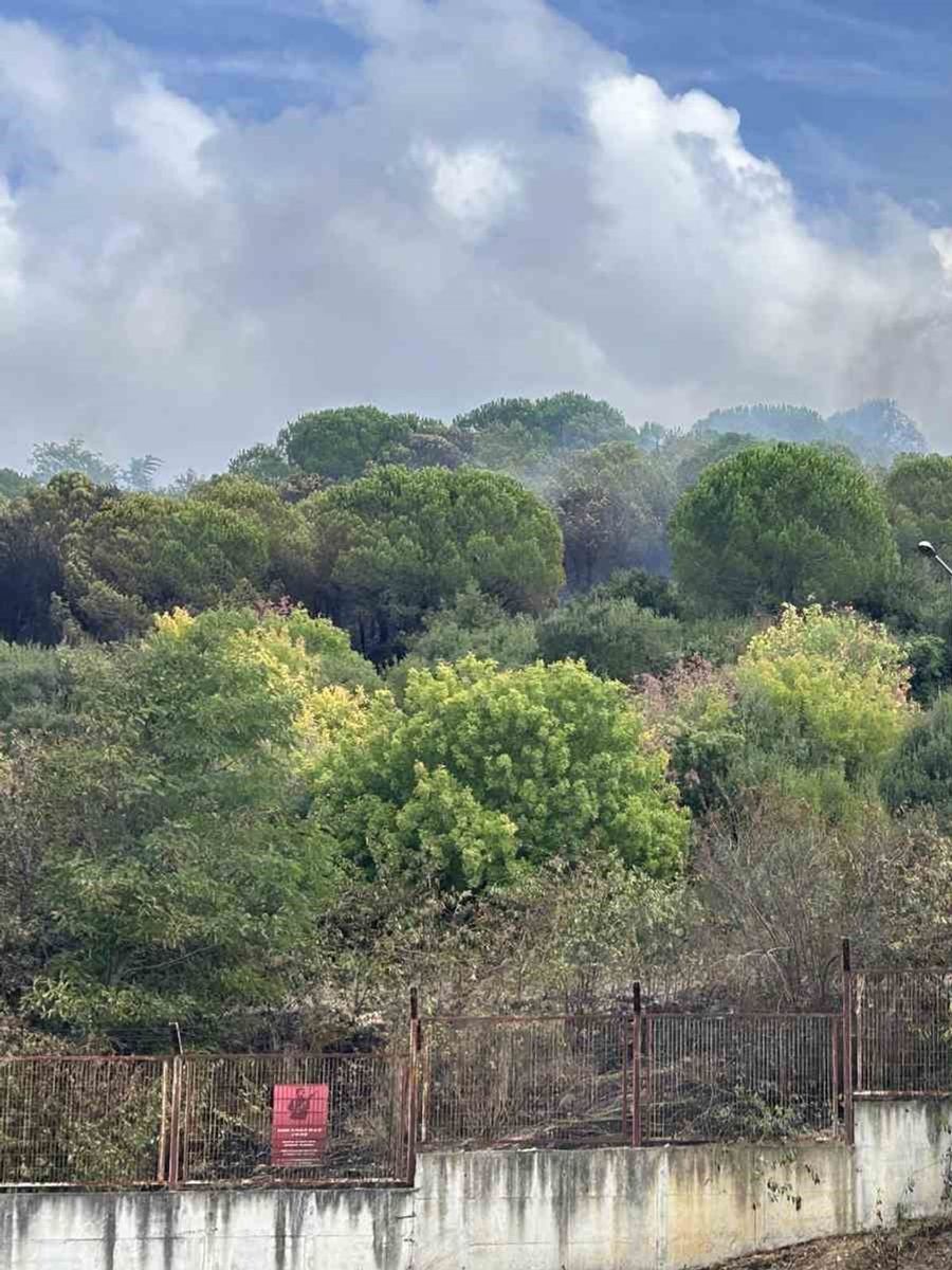 Maltepe’de ormanlık alanda korkutan yangın: Alevler Kenan Evren Kışlası’na sıçradı