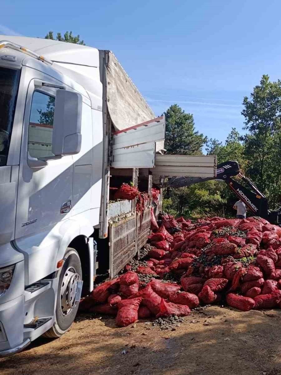Bursa’da 8 ton midye ele geçirildi