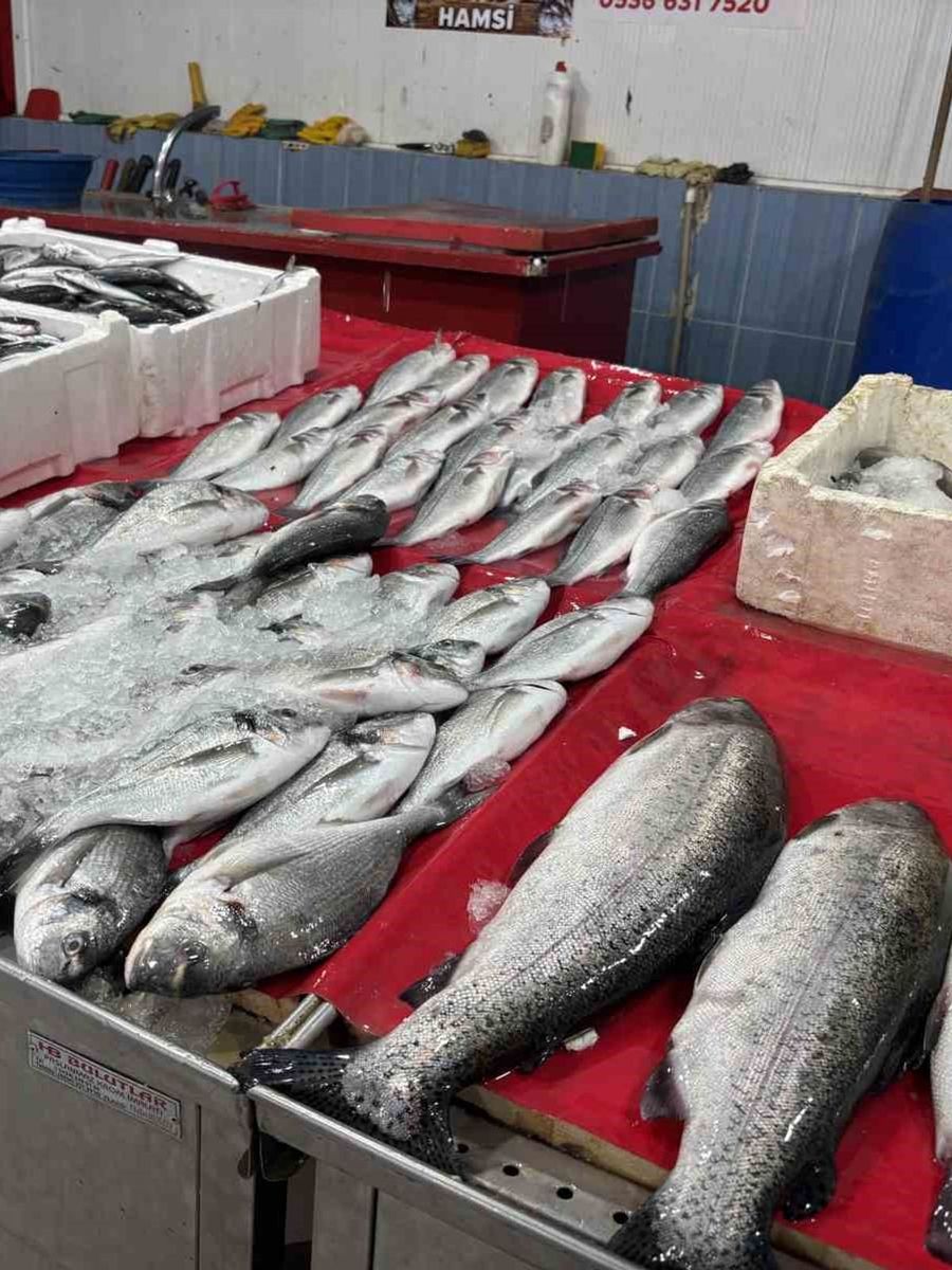 Bingöl’de balık tezgahları şenlendi