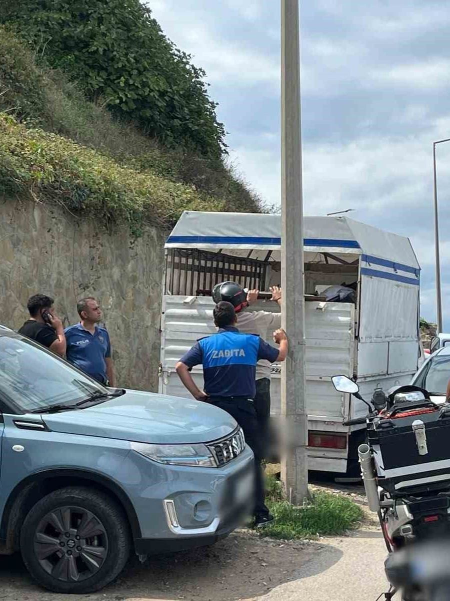 Sinop’ta belediyeye ait tabelayı alan şahıs polis merkezine götürüldü