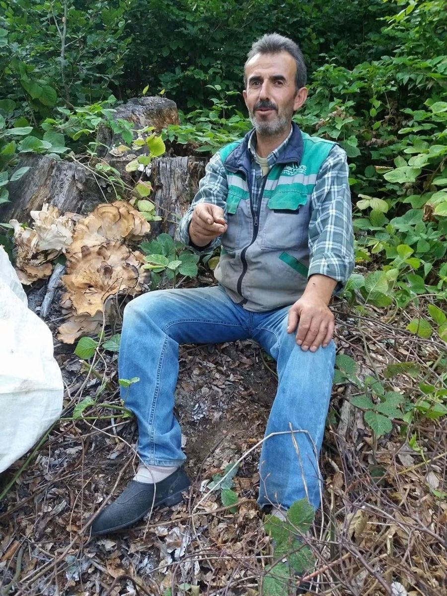 Sinop’ta traktör devrildi, orman işçisi hayatını kaybetti