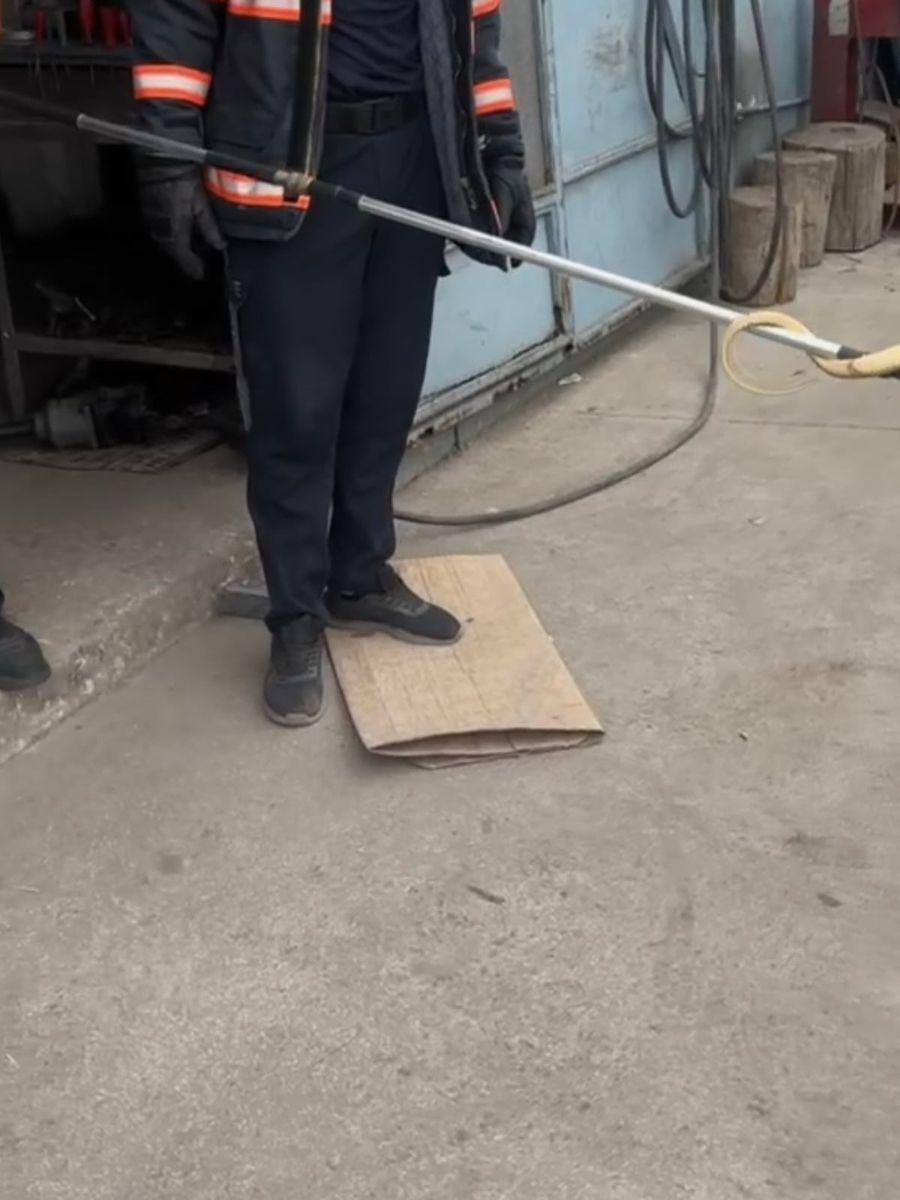 Dükkana giren yılan paniğe sebep oldu
