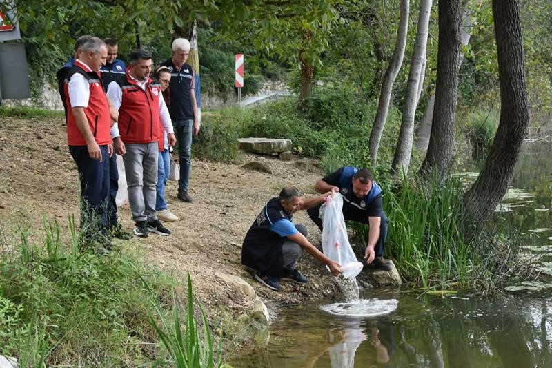 ORDU’DA SU ÜRÜNLERİ POTANSİYELİNİN GELİŞTİRİLMESİ AMACIYLA 80 BİN YAVRU SAZAN BALIĞI, AYBASTI, FATSA VE MESUDİYE İLÇELERİNDEKİ GÖL VE GÖLETLERE BIRAKILDI.