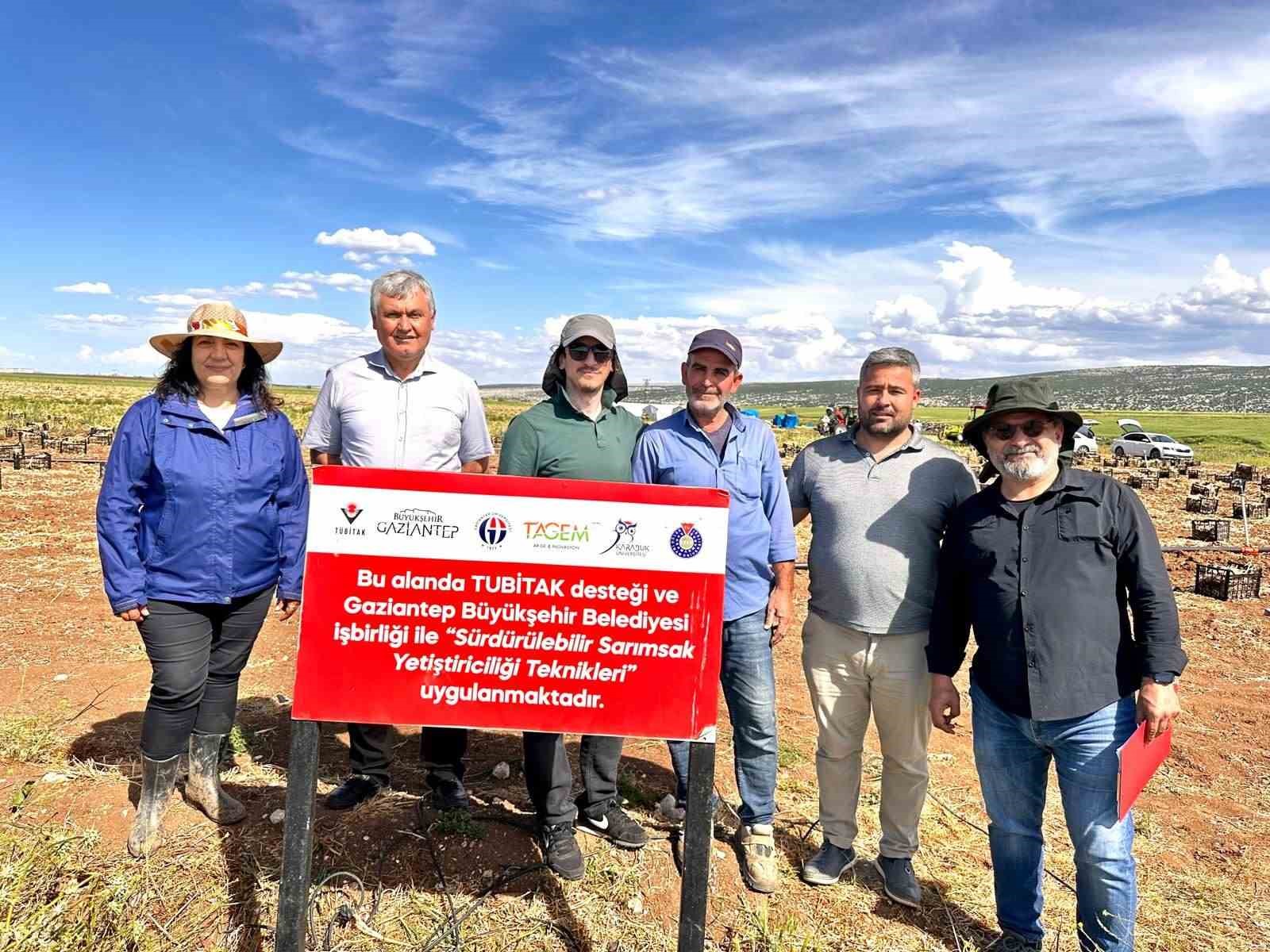 PROJE KAPSAMINDA TÜRKİYE’NİN ÖNEMLİ SARIMSAK ÜRETİM MERKEZLERİNDEN 9 İLDE SAHA ÇALIŞMALARI YÜRÜTÜLEREK STEMPHYLİUM YAPRAK YANIKLIĞI HASTALIĞININ YAYGINLIĞI, HASTALIK ETMENLERİ VE MÜCADELE YÖNTEMLERİ ARAŞTIRILACAK.