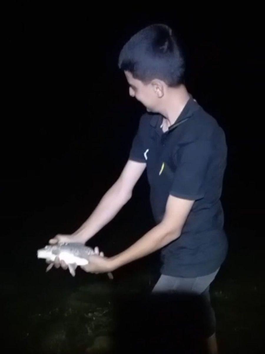 Elazığ’da amatör balıkçıdan örnek davranış: Yavru sazanı tekrar suya bıraktı