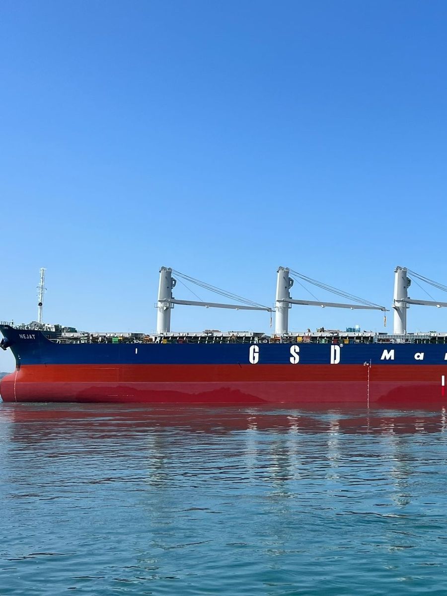 GSD Holding, Japon NSY'den 40.300 DWT Handysize Gemi Siparişi Verdi