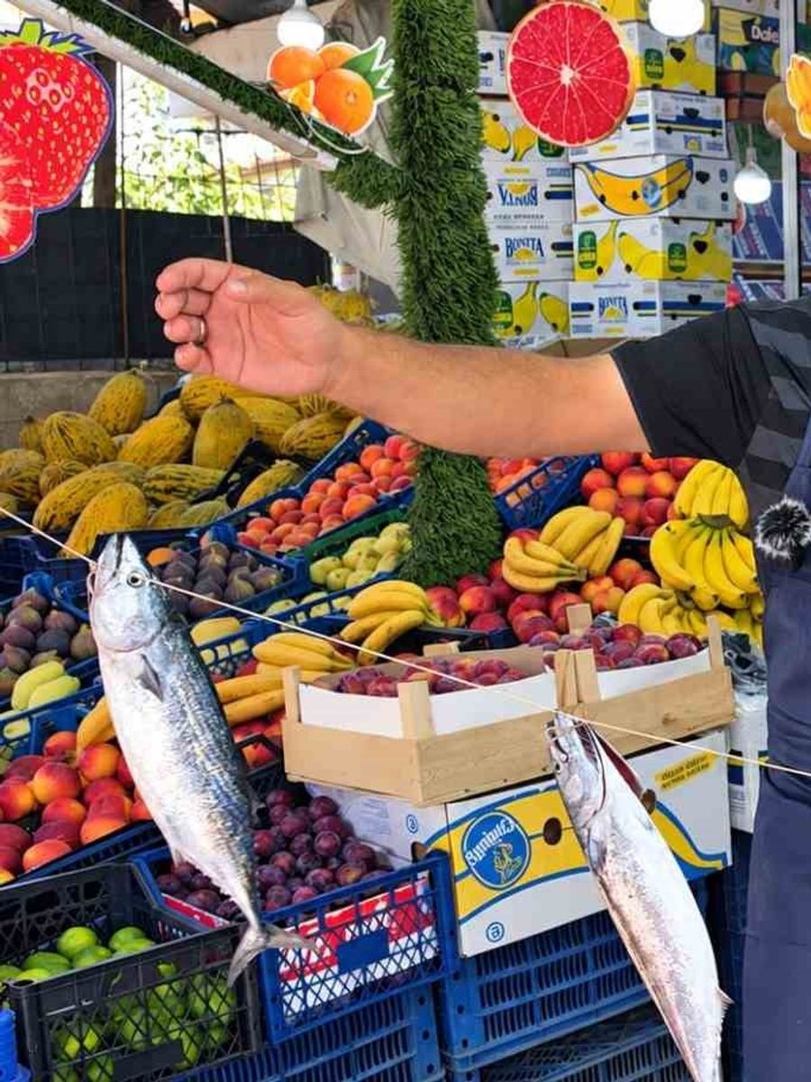 Düzce’de taze balıkları göstermek için hem palamutları oynattı hem kendisi horon oynadı