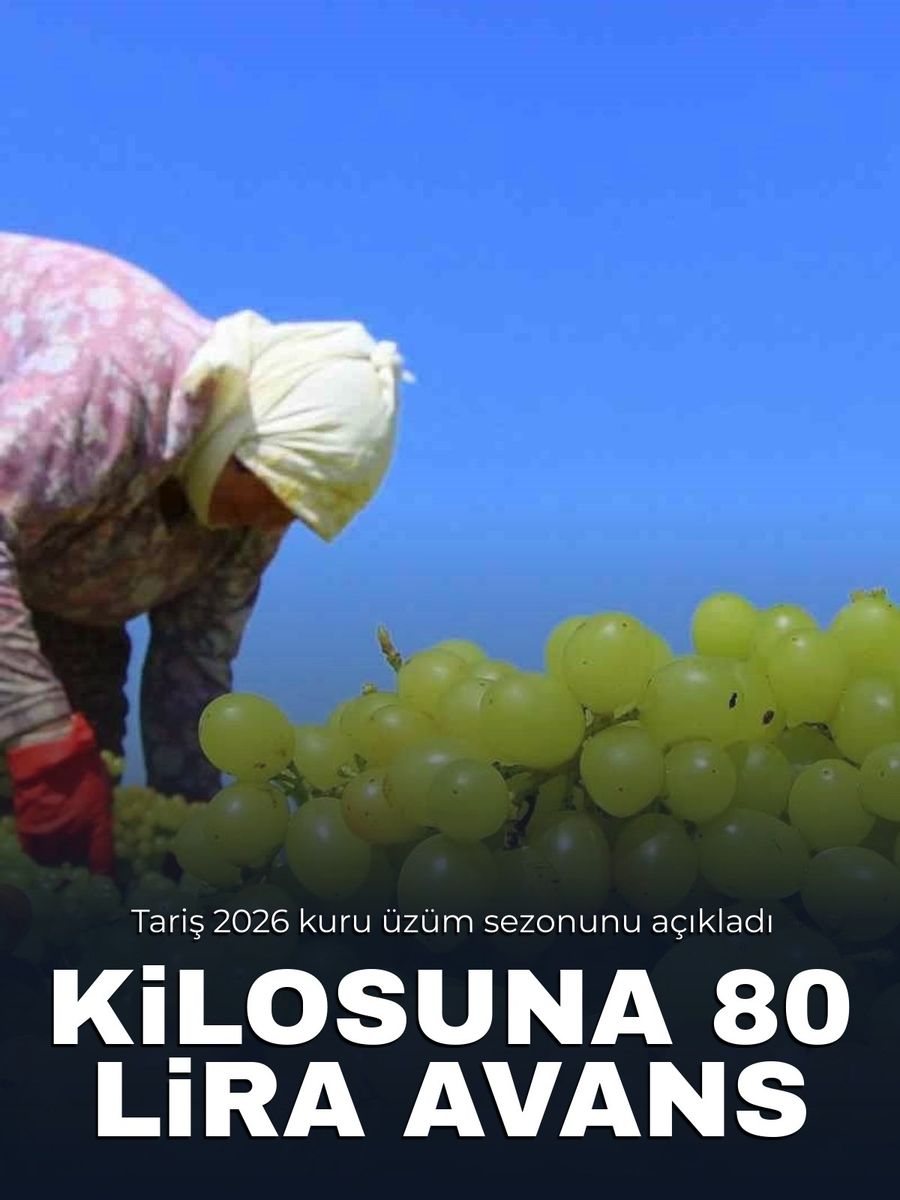 Tariş kuru üzüm avans fiyatını belirledi: 80 TL