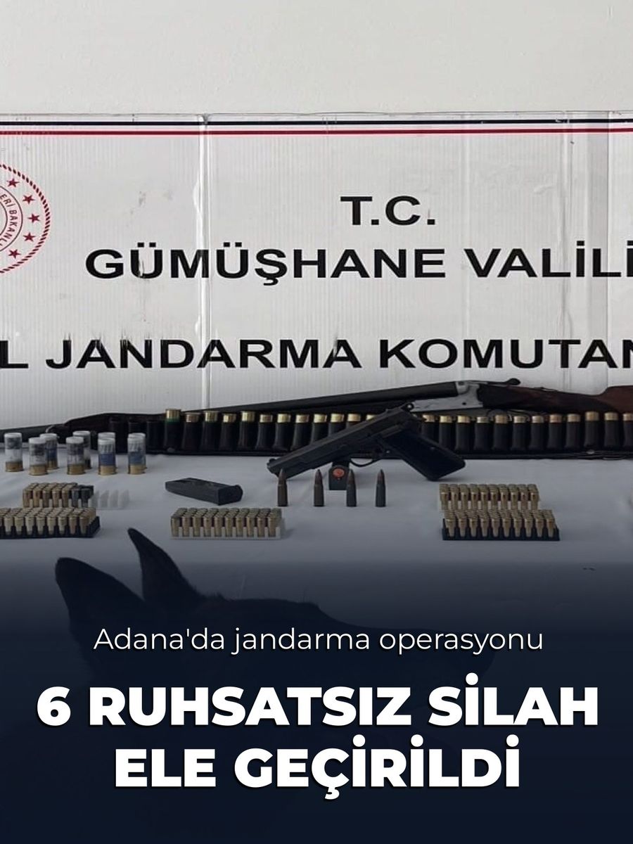 Adana'da jandarma operasyonunda 6 ruhsatsız silah ele geçirildi