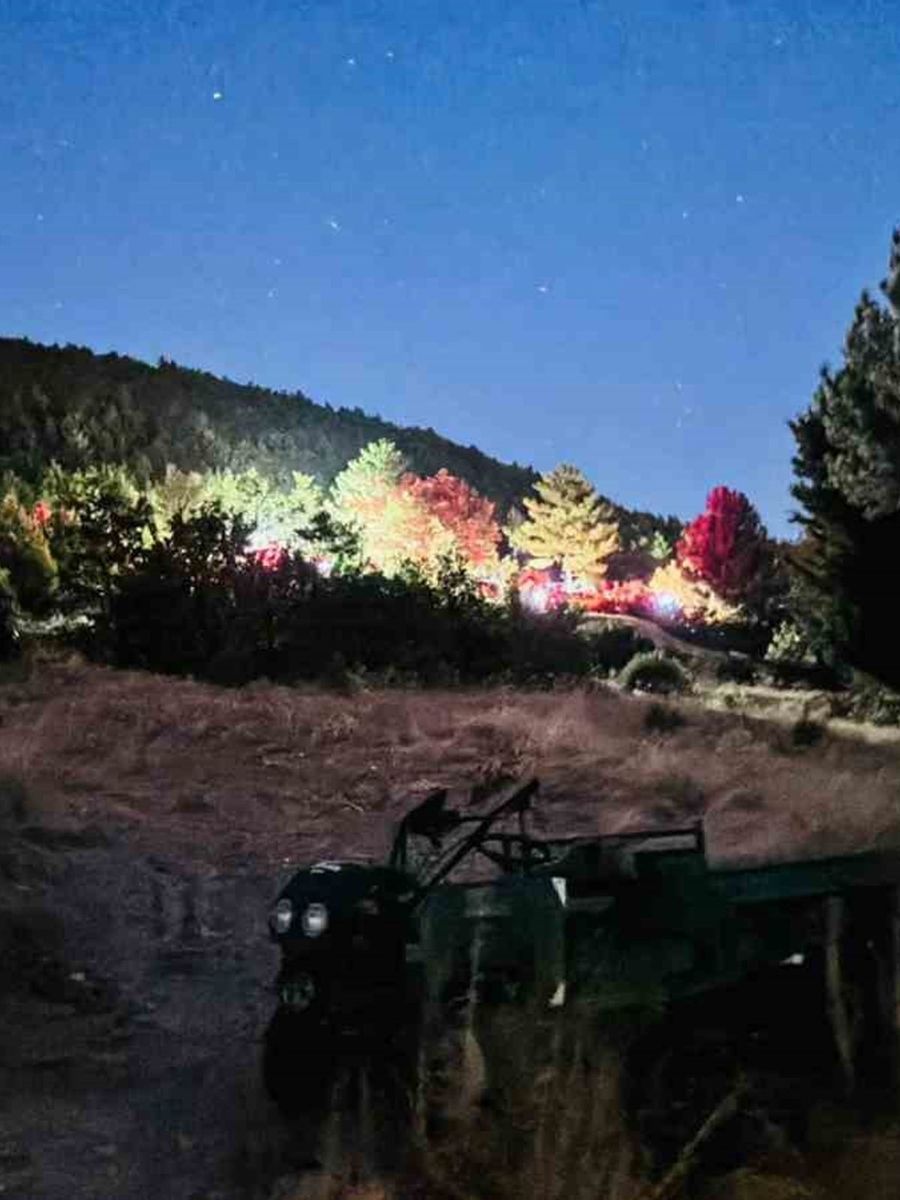 Evlerin arasındaki bahçede çıkan yangın korkuttu