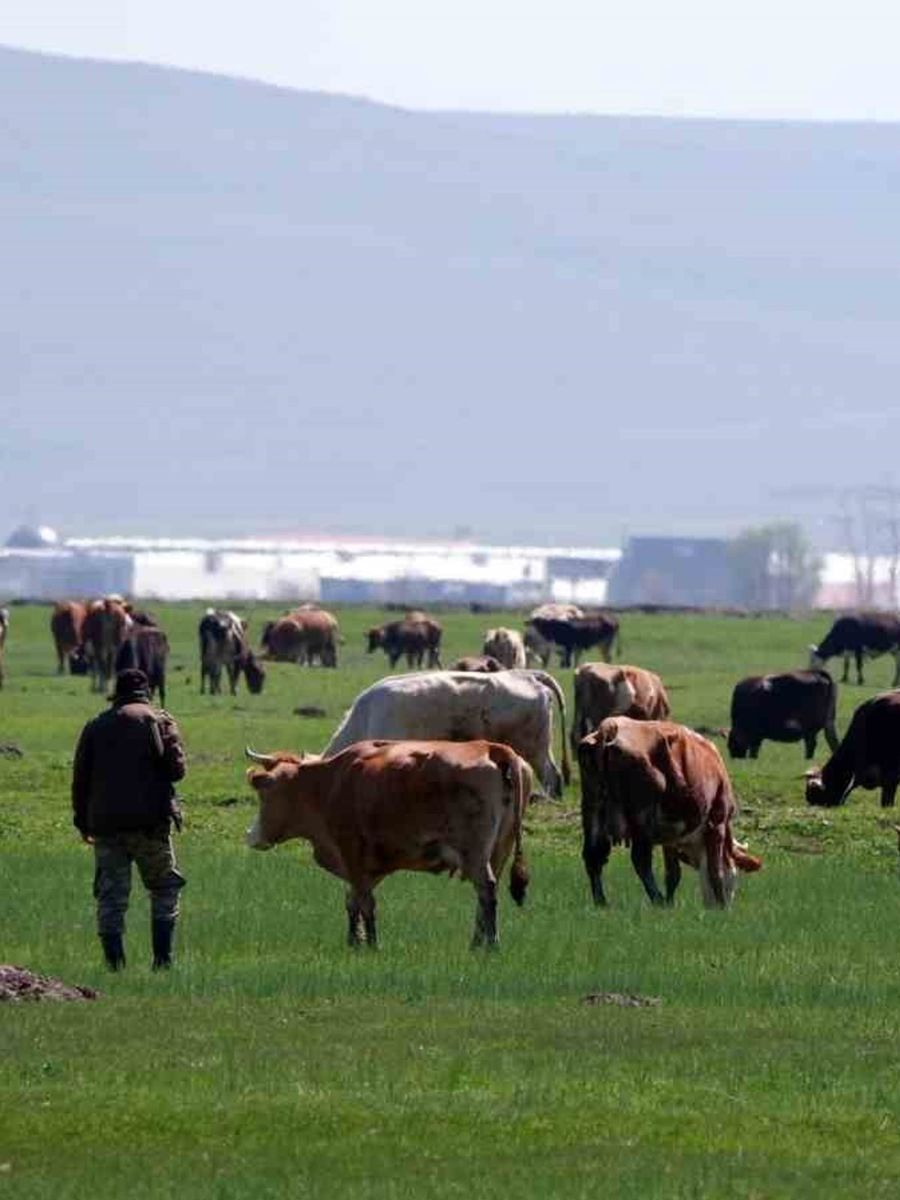 Tarımda üreticilere destekleme çağrısı