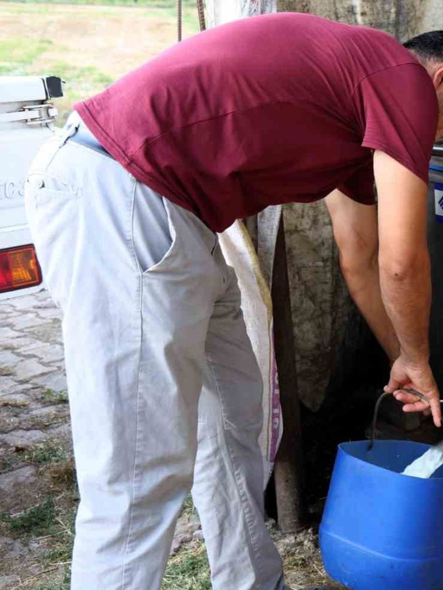 Soğutma tankları süt üreticisinin maliyetini düşürdü
