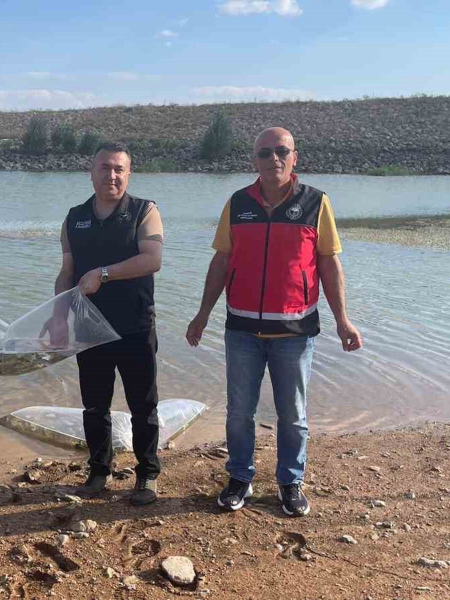 Beyşehir ve Hüyük’ün göletlerine balık bırakıldı