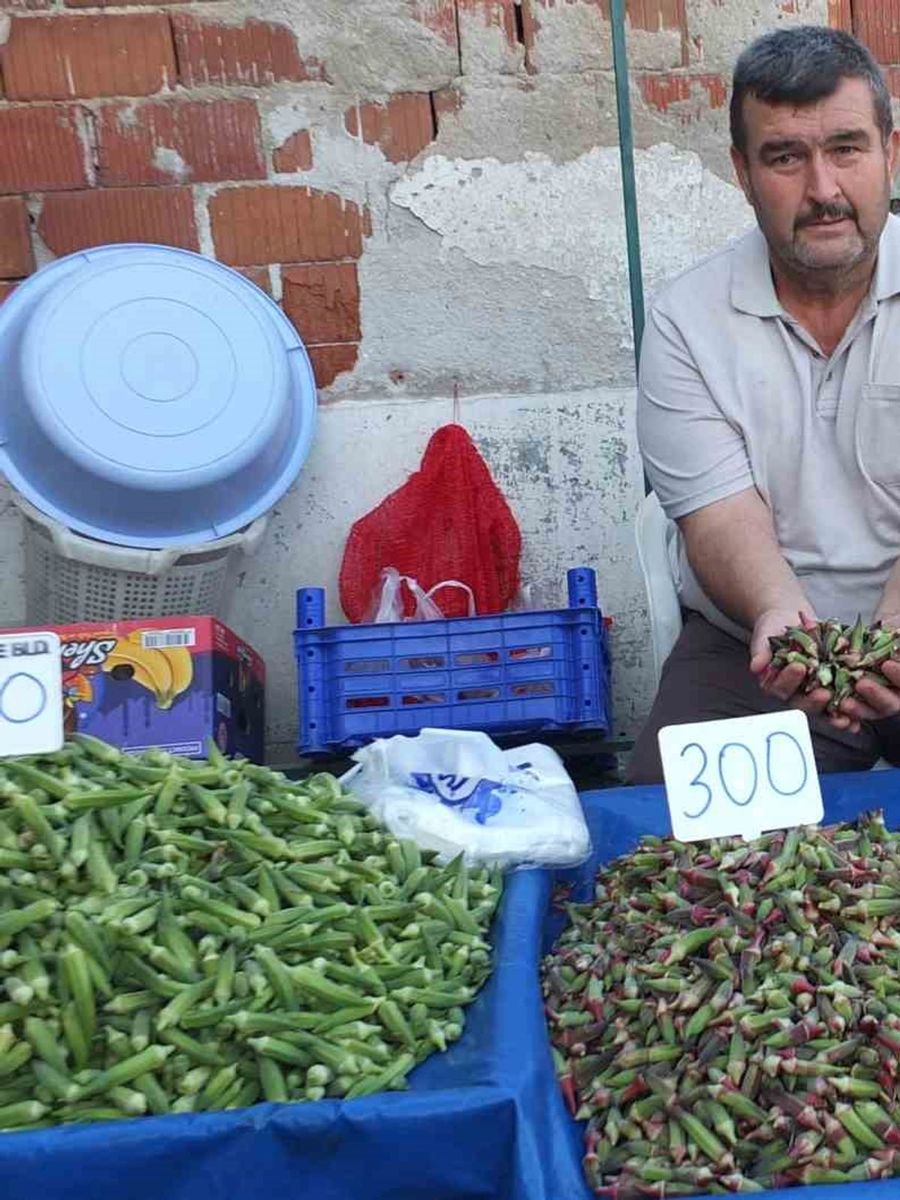 Burhaniye’de kınalı bamya ilgi gördü