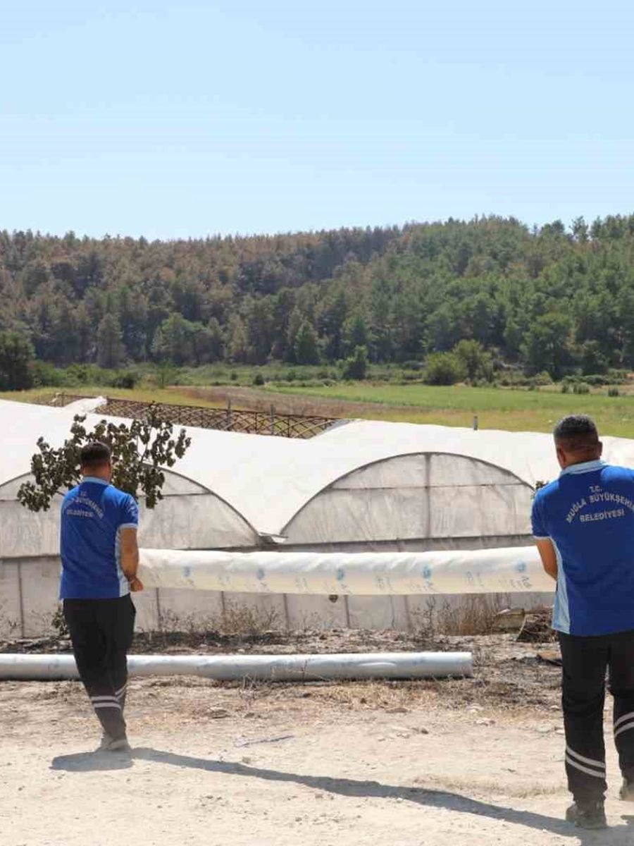 Seydikemer’de yangının yaraları bir günde sarılmaya başlandı