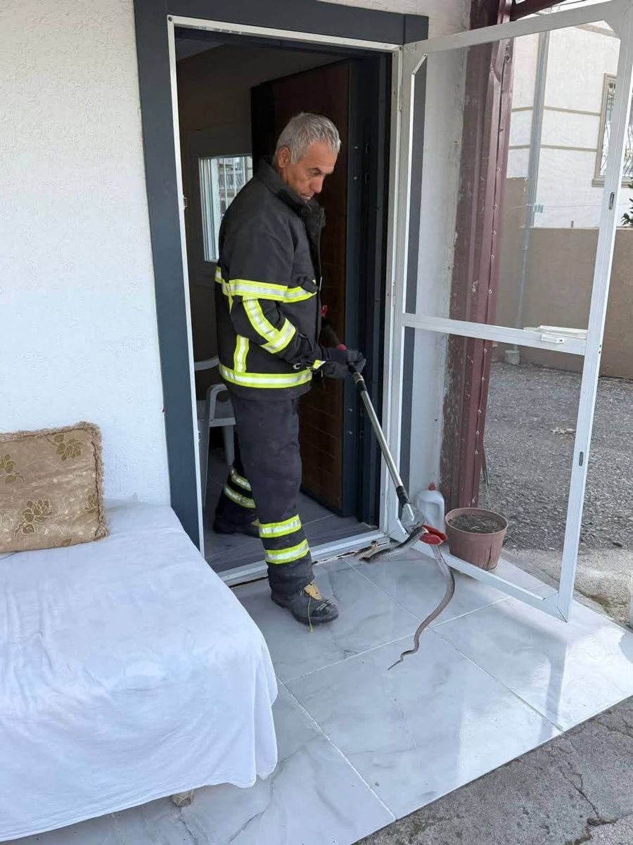 Arsuz’da eve giren yılanı itfaiye yakaladı