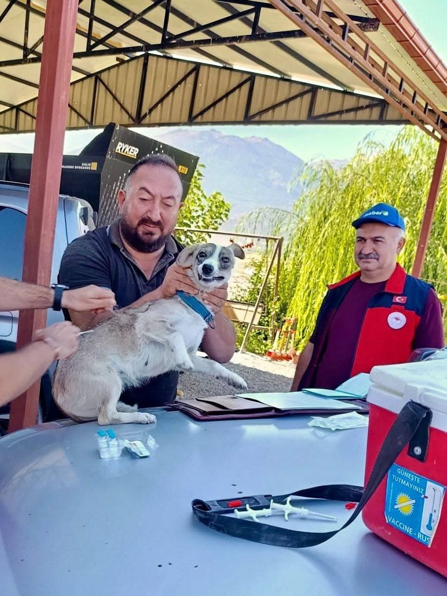 Çay’da evcil hayvanlara kimliklendirme ve kuduz aşısı yapıldı