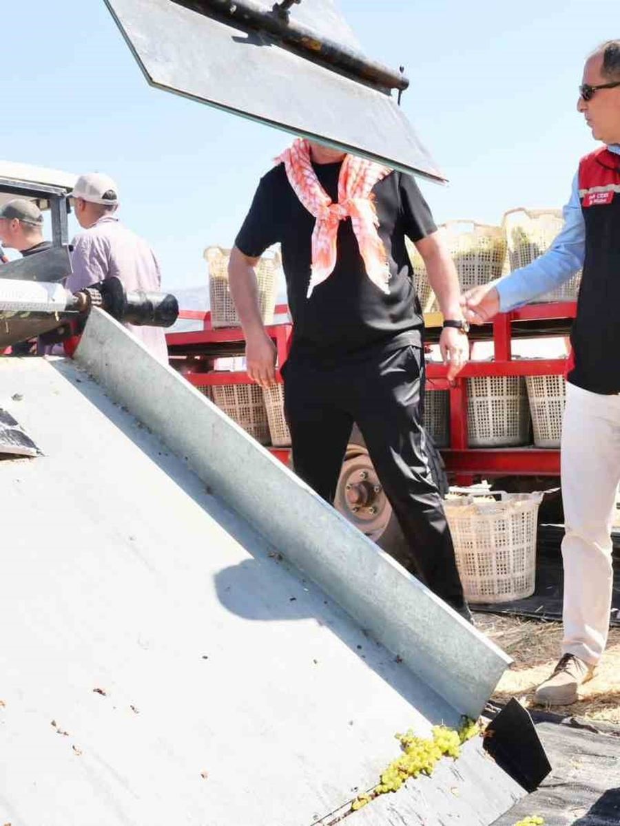 Menemen’de ’Bağ Bozumu’ coşkusu