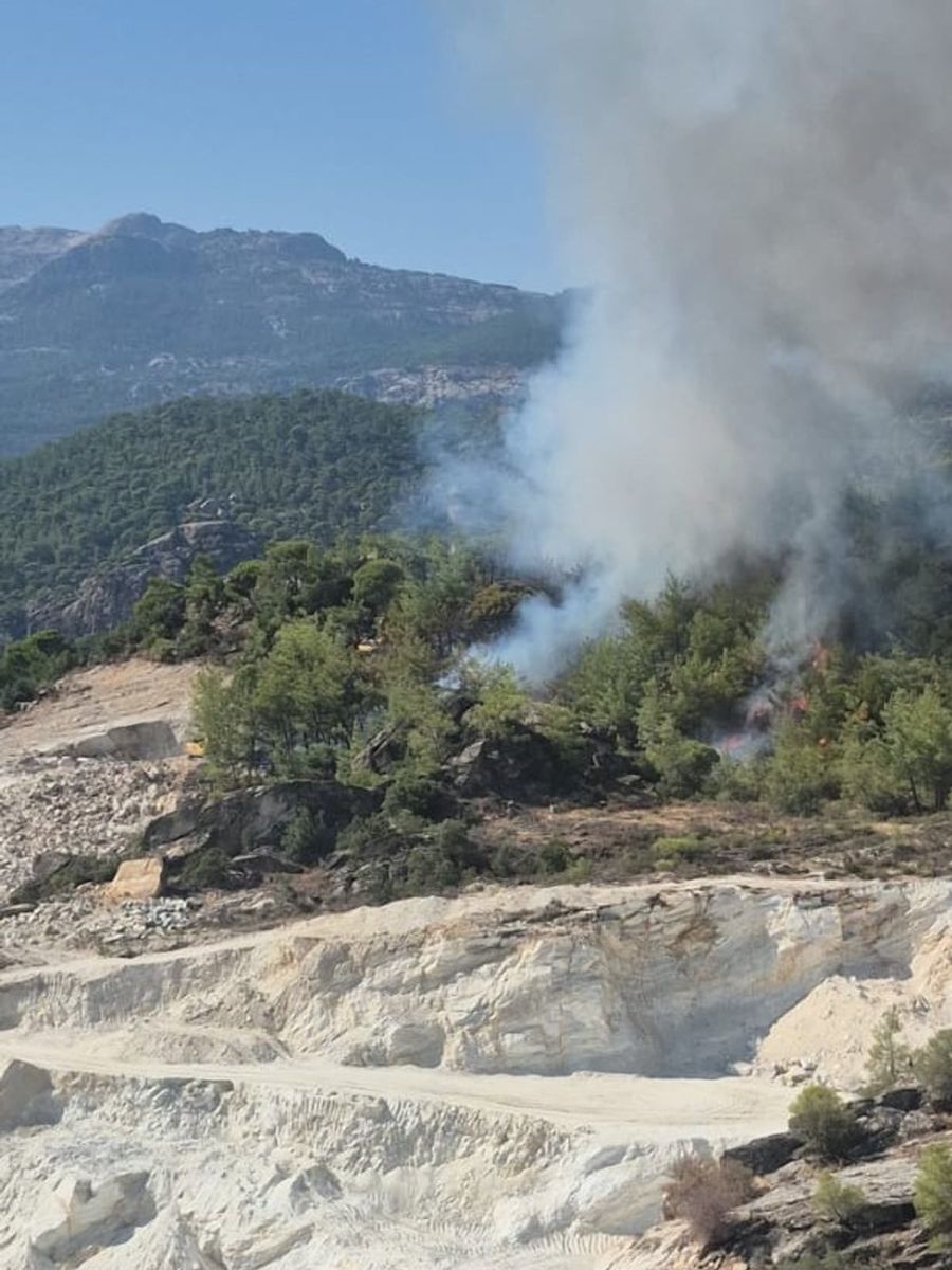 MİLAS’TA ORMAN YANGINI