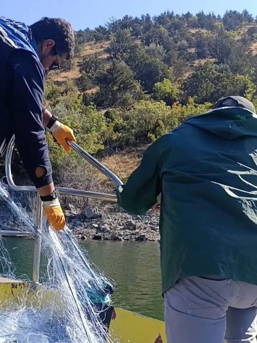 Sinop’ta kaçak avcılığa karşı kararlı mücadele