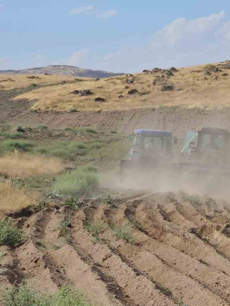 Adilcevaz’da buğday ekim sezonu başladı