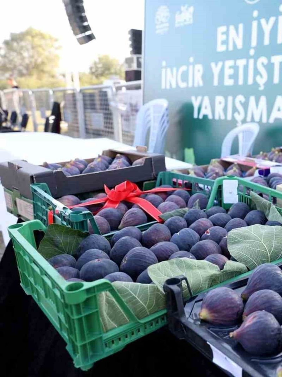 12. Akçalar Fadıllı İncir Festivali 13 Eylül’de Akçalar Göl Kıyısı’nda