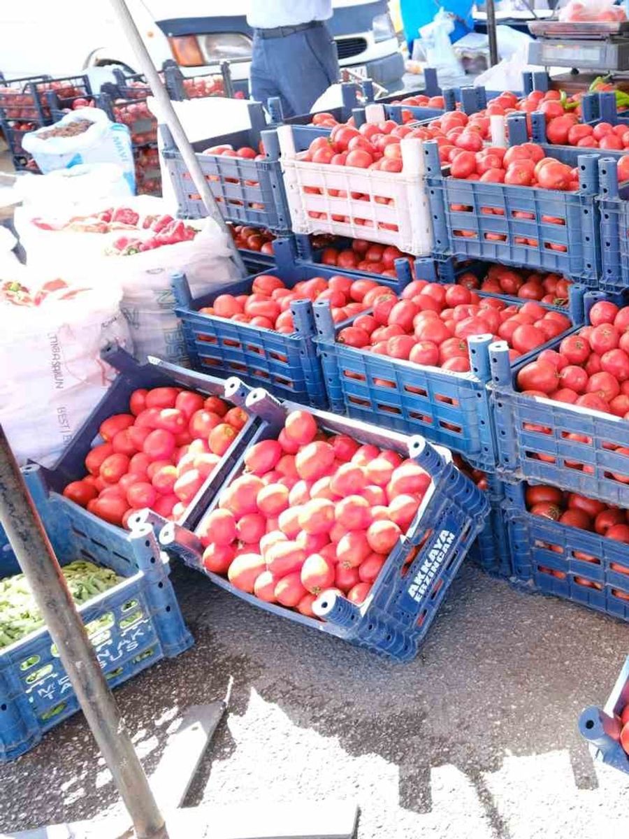 Erzincan’da salçalık domates ve biberler tezgahlarda