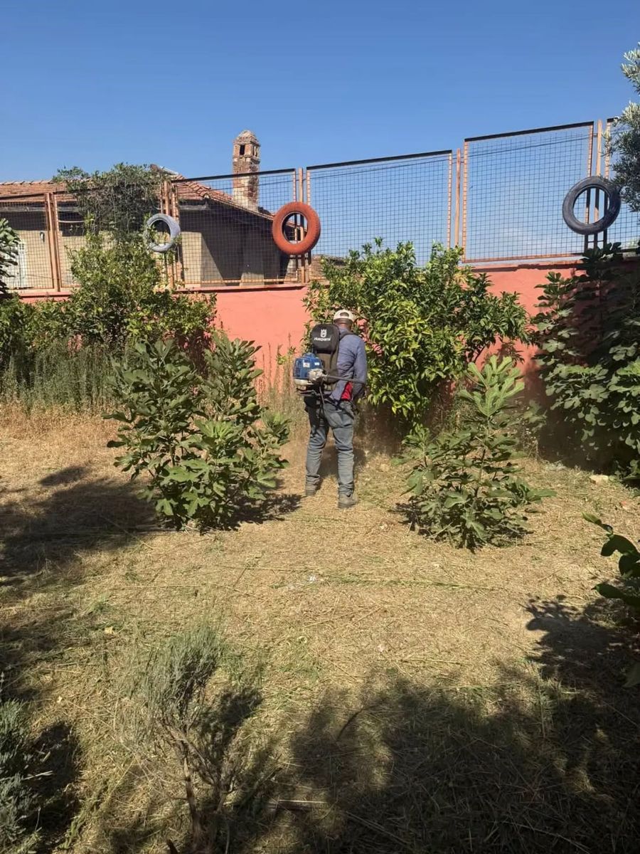 Germencik’te okullar yeni eğitim yılına hazırlanıyor