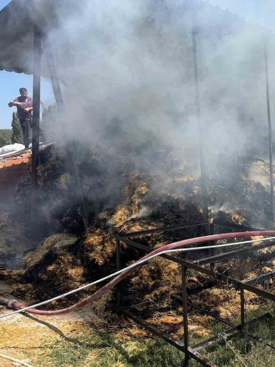 Bilecik’te iki köyde çıkan yangında çok miktarda saman balyası yandı