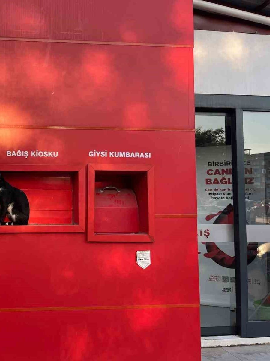 Kızılay’ın sevimli bekçisi