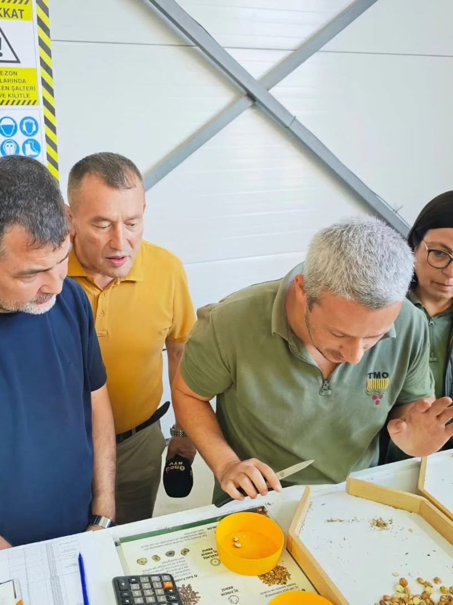 Yığılca TMO fındık alım merkezi açıldı