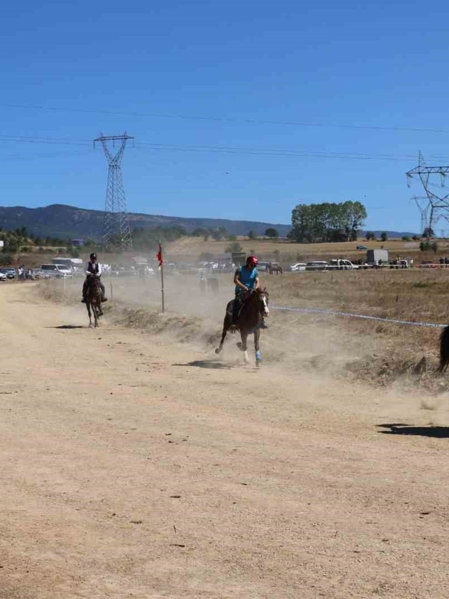 Bolu’da 15’inci geleneksel Rahvan At Yarışları’nda 75 at derece için yarıştı
