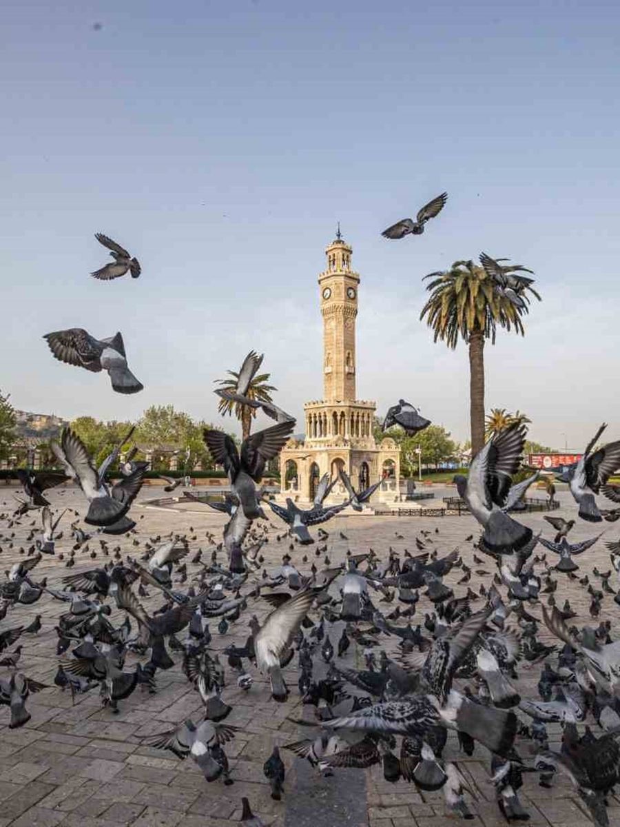 İzmir’in iklim deneyimi Avrupa’ya taşınacak