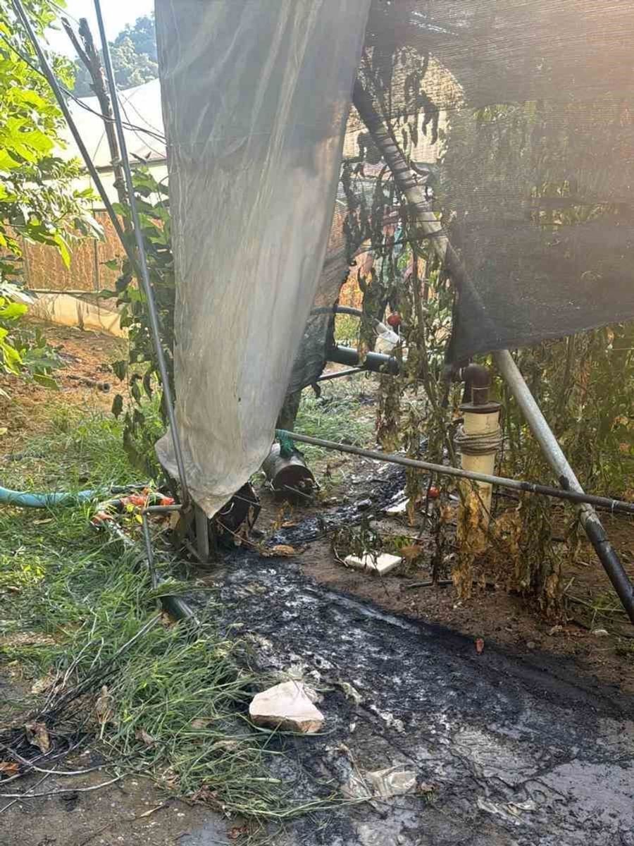 Bilecik’te çalılık yangını büyümeden söndürüldü