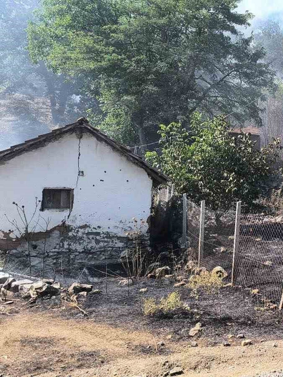 Bilecik’te orman yangınına sebebiyet veren şahıs gözaltına alındı