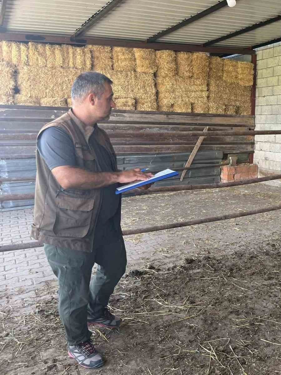 Afyonkarahisar’da ‘Kırsalda Bereket Büyükbaşa Destek’ projesi sürüyor