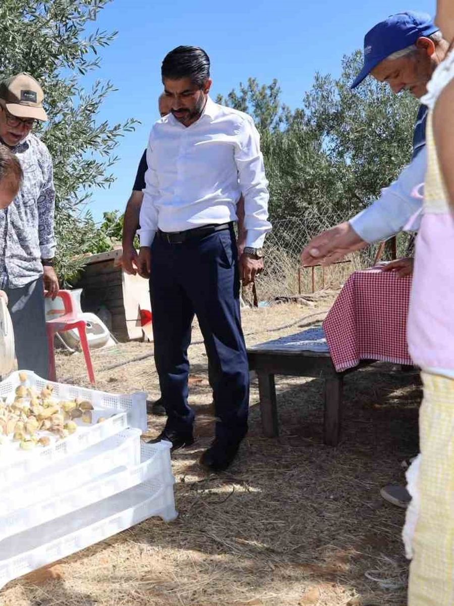 Kaymakam Battal, incir hasadında üreticilerle bir araya geldi