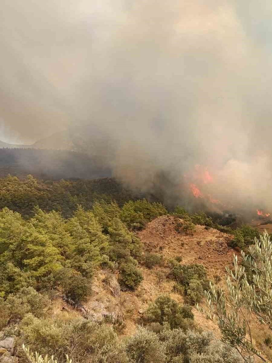 Kumluca’da ağaçlık alanda yangın