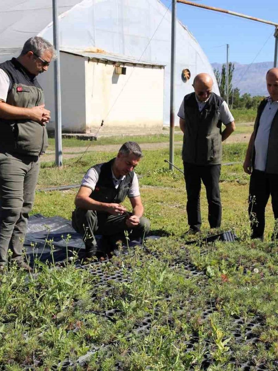 Erzincan Fidanlık Şefliğinde 2026 yılı üretim çalışmaları incelendi