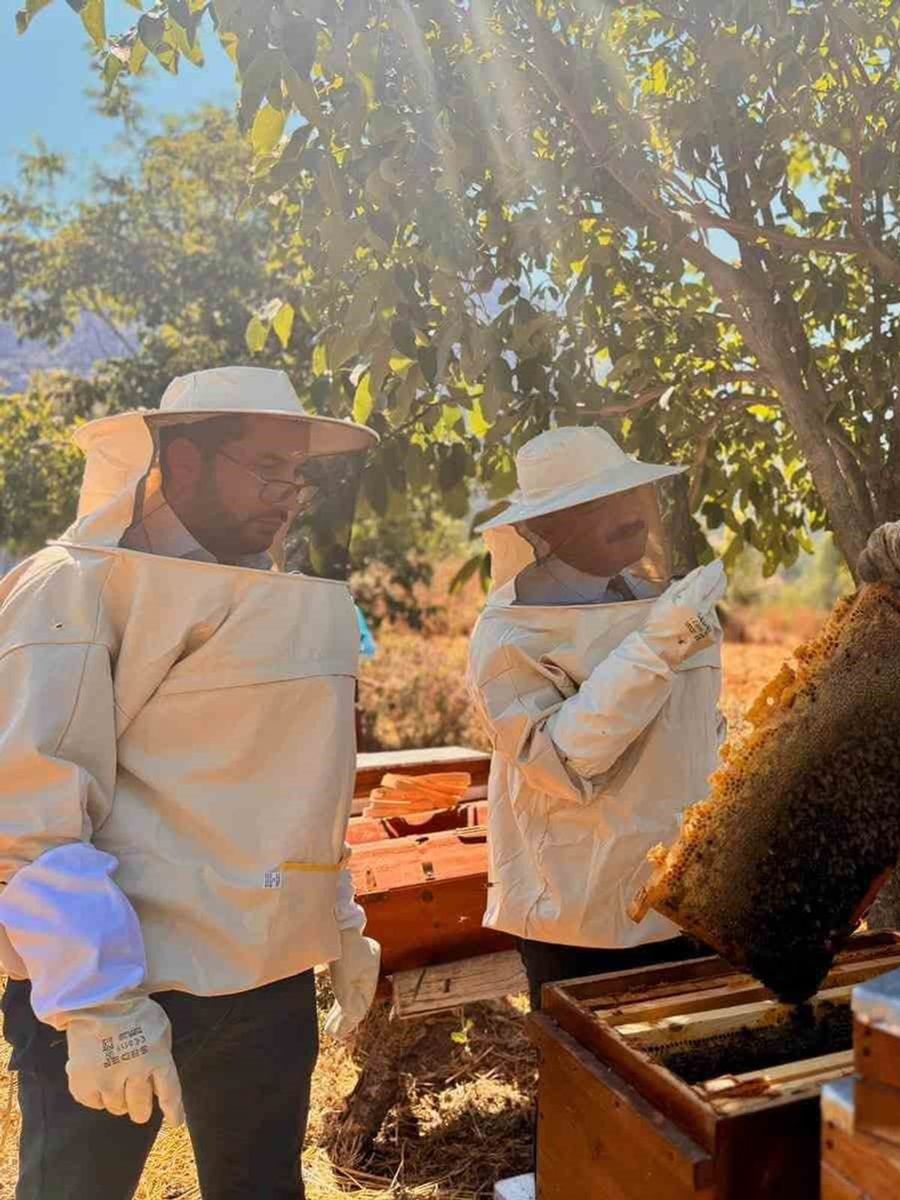 Bilecik’te 22 bin 500 kovandan 135 ton bal üretiliyor