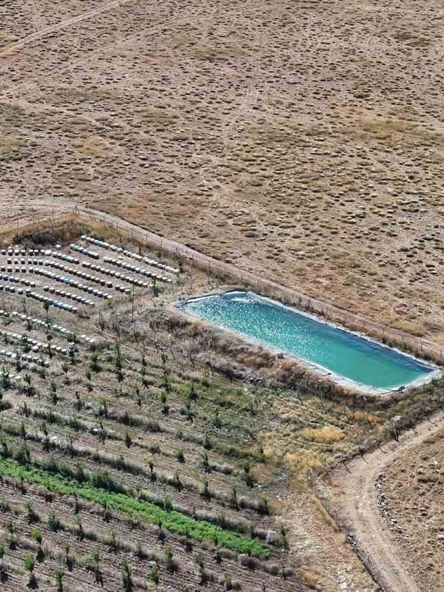 Niğde’nin bin 800 rakımlı Tumlu Yaylası’nda Geven Balı bereketi